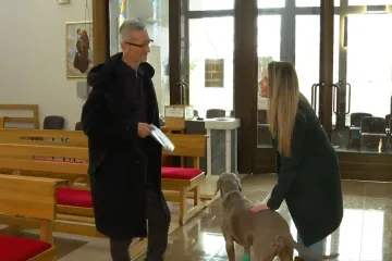 Velečasni Željko priznao da koristi umjetnu inteligenciju: &lsquo;Za propovijedi ne smijem, vjernici bi skužili&rsquo;