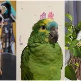 Ovo su fotografije va&scaron;ih preslatkih kućnih ljubimaca: Oni su članovi obitelji, a ovo su samo neki od njih