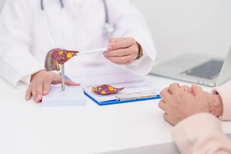 Bolesti jetre pogađaju do trećine odraslih u Hrvatskoj: Vodeći je uzrok smrtnosti