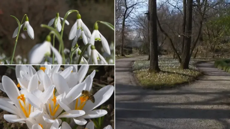 Oaza mira u centru Zagreba ponovno otvorila svoja vrata: Posjetitelje očekuju mnoge novosti