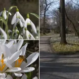 Oaza mira u centru Zagreba ponovno otvorila svoja vrata: Posjetitelje očekuju mnoge novosti