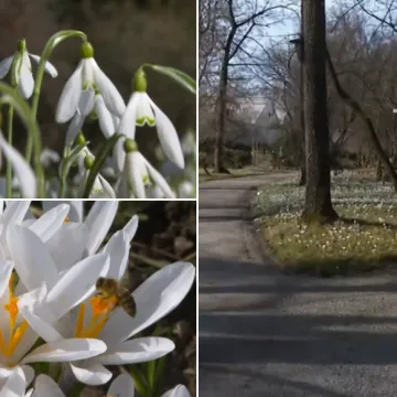 Oaza mira u centru Zagreba ponovno otvorila svoja vrata: Posjetitelje očekuju mnoge novosti