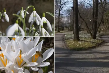 Oaza mira u centru Zagreba ponovno otvorila svoja vrata: Posjetitelje očekuju mnoge novosti