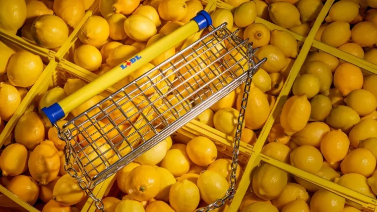 Lidl predstavlja &bdquo;Trolley Bag&ldquo; u drugoj suradnji s dizajnerom Nik Bentelom