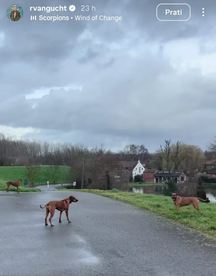 Ruben van Gucht iznenadio simboličnom objavom nakon vijesti da očekuje kćer