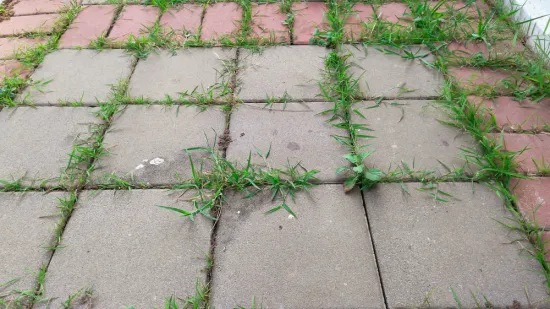 Korov će brzo nestati uz ova dva sastojka koja vjerojatno imate u svojoj kuhinji, samo oprezno