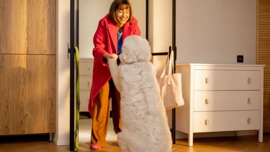 Za&scaron;to psi uzbuđeno čekaju vlasnike na vratima kad dođu kući? Ovo je pravi razlog