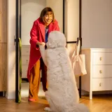 Za&scaron;to psi uzbuđeno čekaju vlasnike na vratima kad dođu kući? Ovo je pravi razlog