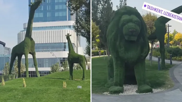 Bombone i sok platio 90 eura! Ivica otkrio &scaron;to ga je &scaron;okiralo u Uzbekistanu