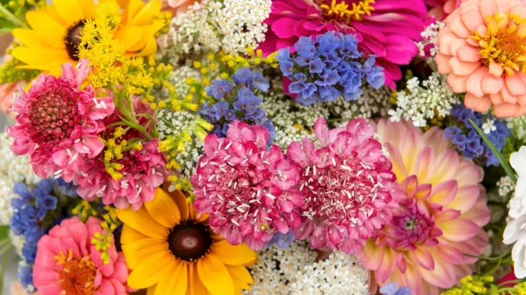 [KVIZ] Svi moraju rasturiti na najlak&scaron;im pitanjima o cvijeću