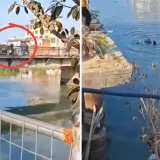 Burna svađa supružnika zamalo zavr&scaron;ila kobno: Otac u naletu bijesa bacio dijete s mosta