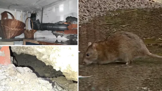 &Scaron;takori prokopali tunele ispod zgrade u Zagrebu: Pucaju cijevi, fekalije se slijevaju niz zidove