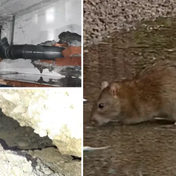 &Scaron;takori prokopali tunele ispod zgrade u Zagrebu: Pucaju cijevi, fekalije se slijevaju niz zidove