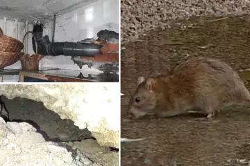 &Scaron;takori prokopali tunele ispod zgrade u Zagrebu: Pucaju cijevi, fekalije se slijevaju niz zidove