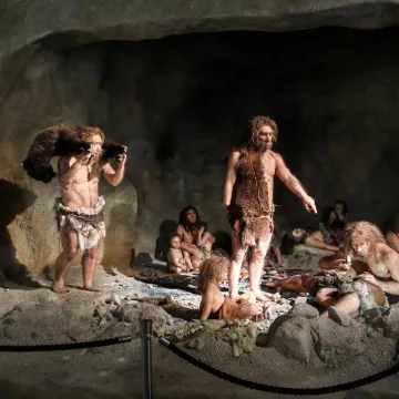 [KVIZ] Koliko zna&scaron; o nalazi&scaron;tu krapinskih neandertalaca?