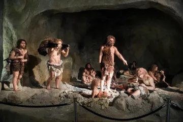 [KVIZ] Koliko zna&scaron; o nalazi&scaron;tu krapinskih neandertalaca?