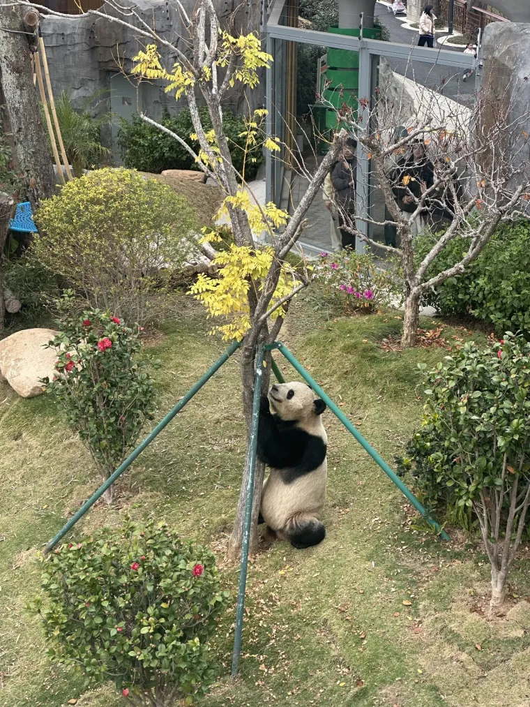 Povratak korijenima, susret tradicije i budućnosti kroz oči mlade TikTok kreatorice