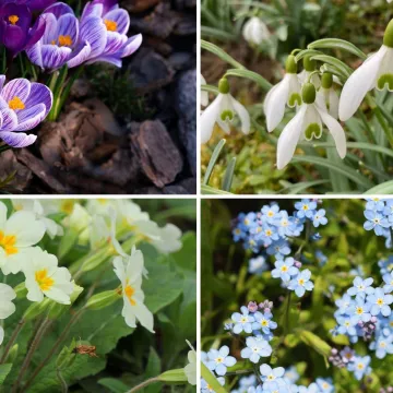 Rijetki će bez puno razmi&scaron;ljanja prepoznati sve vjesnike proljeća: Dokaži da nije nemoguće