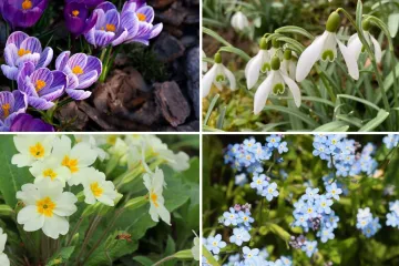 Rijetki će bez puno razmi&scaron;ljanja prepoznati sve vjesnike proljeća: Dokaži da nije nemoguće