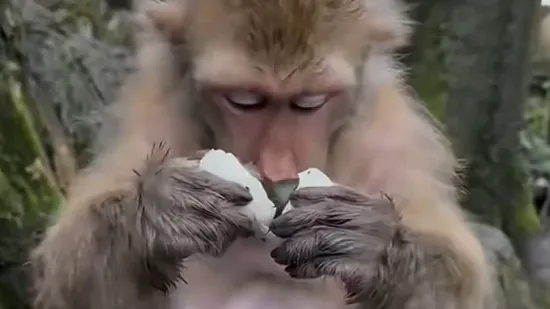 Diže li neka određena hrana i vama ovako želudac?