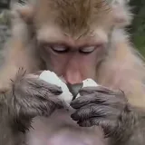 Diže li neka određena hrana i vama ovako želudac?