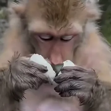 Diže li neka određena hrana i vama ovako želudac?