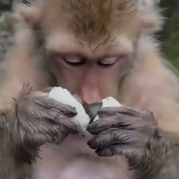 Diže li neka određena hrana i vama ovako želudac?