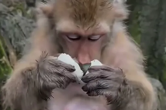 Diže li neka određena hrana i vama ovako želudac?