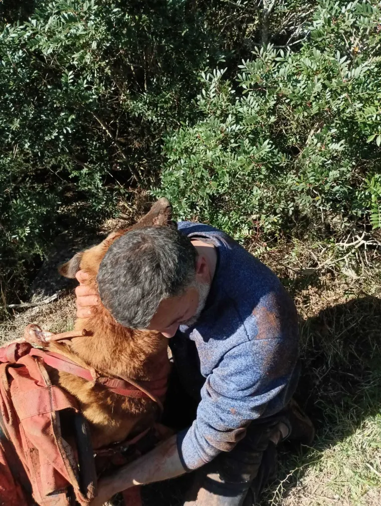 Igra se pretvorila u dramu: Pas i vlasnik upali u jamu od 20 metara, spasio ih HGSS