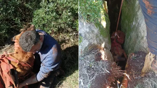 Igra se pretvorila u dramu: Pas i vlasnik upali u jamu od 20 metara, spasio ih HGSS