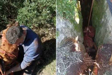 Igra se pretvorila u dramu: Pas i vlasnik upali u jamu od 20 metara, spasio ih HGSS