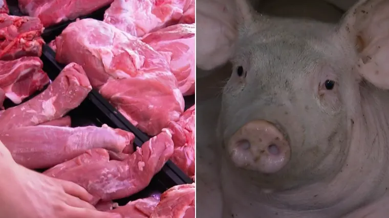 Kraj hrvatskog svinjogojstva? 'Jako blizu, strah nas je da nećemo zavr&scaron;iti kao Slovačka'