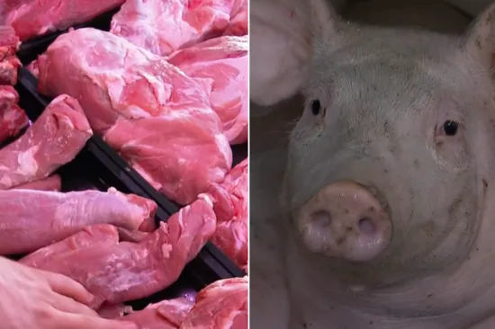 Kraj hrvatskog svinjogojstva? 'Jako blizu, strah nas je da nećemo zavr&scaron;iti kao Slovačka'