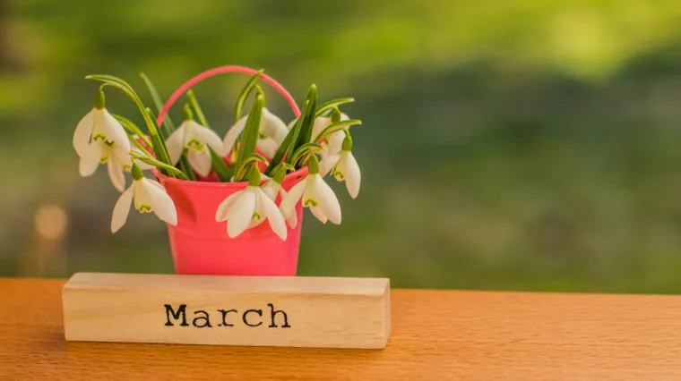 [KVIZ] Koliko zna&scaron; o mjesecu ožujku?