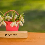 [KVIZ] Koliko zna&scaron; o mjesecu ožujku?