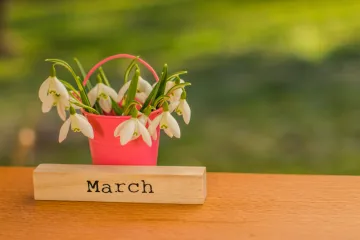 [KVIZ] Koliko zna&scaron; o mjesecu ožujku?