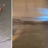 Monsunke ki&scaron;e potopile turistički raj, &scaron;ire se snimke golemih pitona koji plivaju ulicama