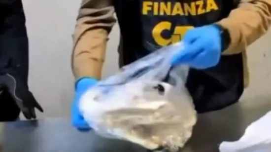 Policija objavila rat ilegalnoj trgovini ugroženim divljim životinjama