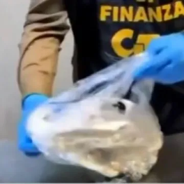 Policija objavila rat ilegalnoj trgovini ugroženim divljim životinjama