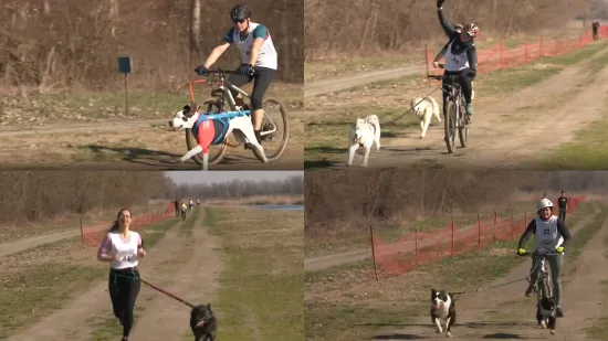 Kad pas povuče, sve ide lak&scaron;e: U Bilju održano neobično sportsko natjecanje