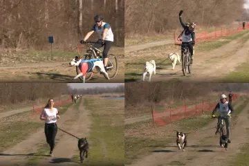 Kad pas povuče, sve ide lak&scaron;e: U Bilju održano neobično sportsko natjecanje