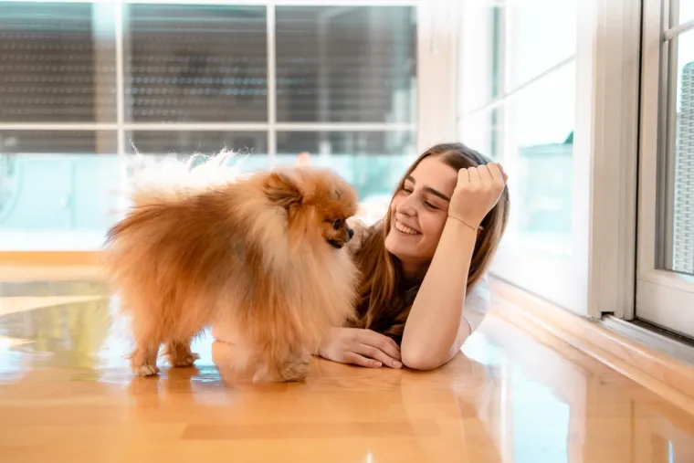 Minijaturni psi velikog karaktera: Među rijetkim su pasminama koje su preživjele tragediju Titanica