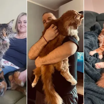 Veliki nježni divovi koji uživaju u maženju: Va&scaron;e ljubimice svakome će izmamiti osmijeh na lice