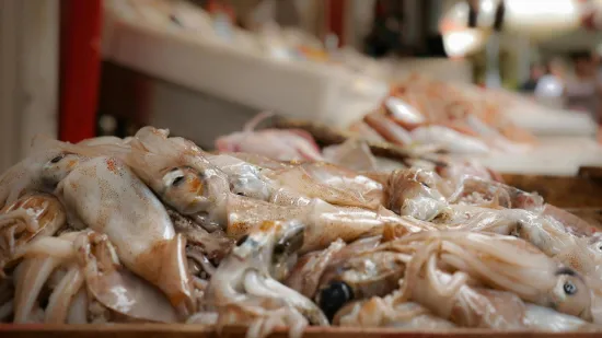 Fotografija či&scaron;ćenja lignje zgrozila Hrvatsku: 'Ne može&scaron; gurati sve ljude u istu kategoriju'