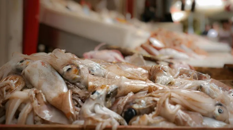 Fotografija či&scaron;ćenja lignje zgrozila Hrvatsku: 'Ne može&scaron; gurati sve ljude u istu kategoriju'