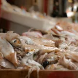 Fotografija či&scaron;ćenja lignje zgrozila Hrvatsku: 'Ne može&scaron; gurati sve ljude u istu kategoriju'