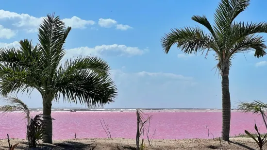 Na ovom je mjestu priroda eksperimentirala s bojama, jezera su ružičasta: 'Nije trik'