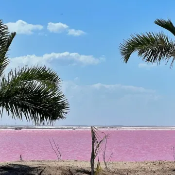 Na ovom je mjestu priroda eksperimentirala s bojama, jezera su ružičasta: 'Nije trik'