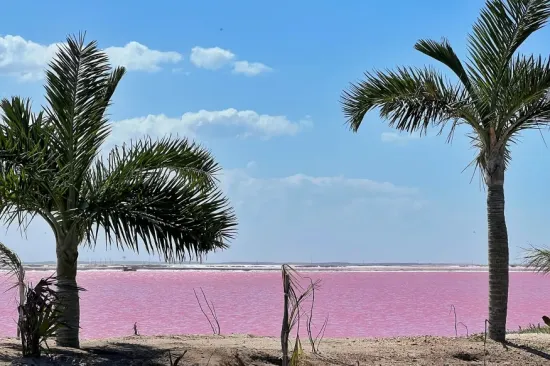 Na ovom je mjestu priroda eksperimentirala s bojama, jezera su ružičasta: 'Nije trik'