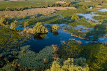 [KVIZ] Rijetki će imati sve točno na pitanjima o močvarama